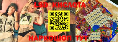 стафф Гай