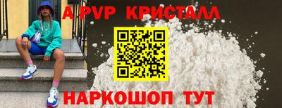 стафф Гай