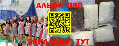 стафф Гай
