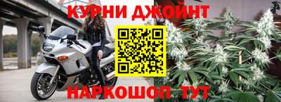 стафф Гай
