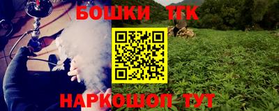 стафф Гай
