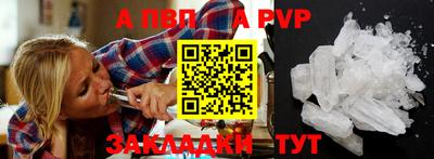 стафф Гай